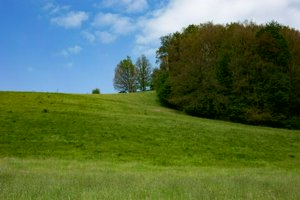 IMG_1444.jpg
