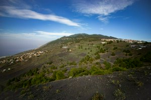 IMG_3423.jpg
