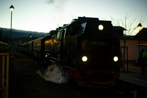 IMG_1571.jpg