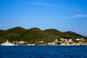 IMG_3707.jpg