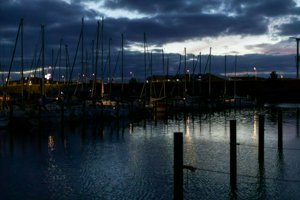 IMG_9174.jpg