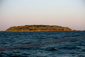 IMG_8654.jpg
