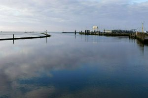 IMG_6644.jpg