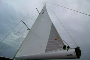 IMG_3978.jpg