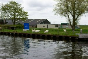 IMG_0572.jpg