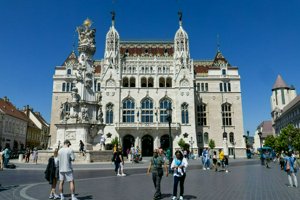 IMG_3284.jpg