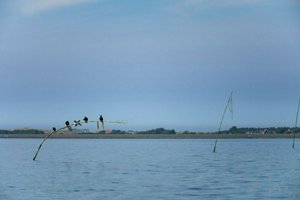 IMG_9829.jpg