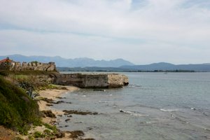 IMG_3303.jpg