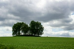 IMG_9036.jpg