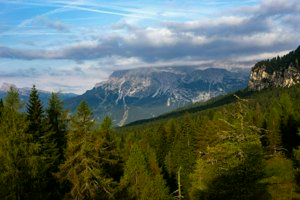 IMG_6484.jpg