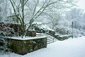 IMG_0246.jpg