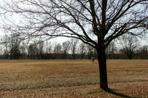IMG_1165.jpg