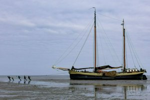 IMG_7675.jpg