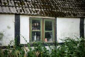 IMG_7426.jpg
