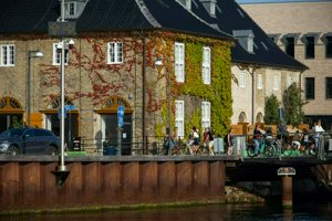 IMG_8025.jpg