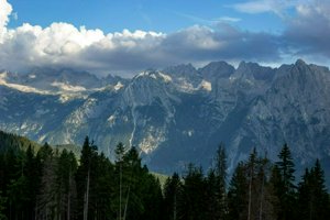 IMG_6397.jpg