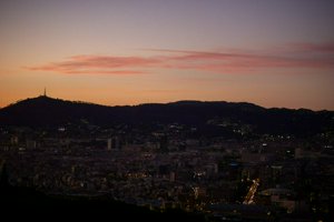 IMG_8874.jpg