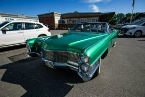 IMG_7059.jpg