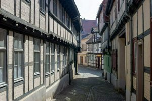 IMG_7917.jpg