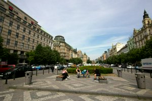 IMG_0556.jpg