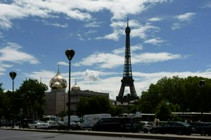 IMG_7667.jpg