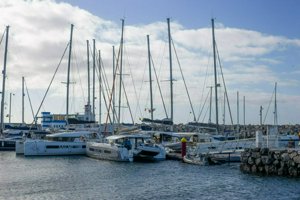 IMG_2249.jpg