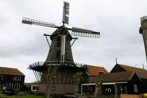 IMG_8348.jpg