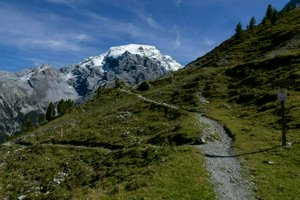IMG_1787.jpg