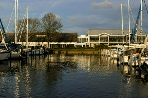 IMG_2300.jpg
