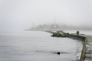 IMG_2183.jpg