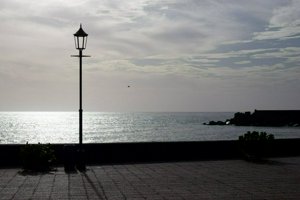 IMG_3519.jpg