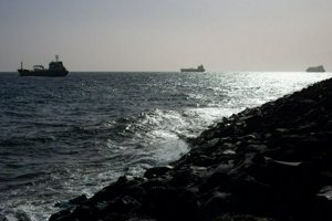 IMG_3907.jpg