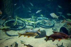 IMG_2564.jpg