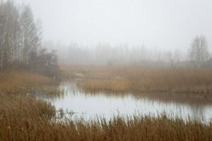 IMG_2227.jpg