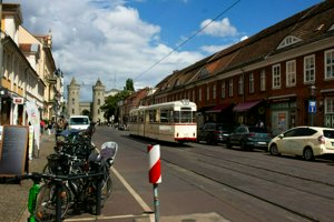 IMG_9986.jpg