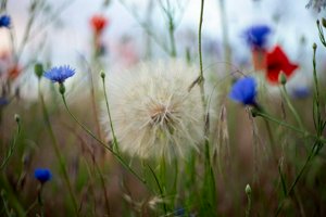IMG_1886.jpg