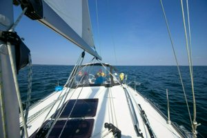 IMG_7832.jpg