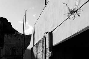 IMG_9145.jpg