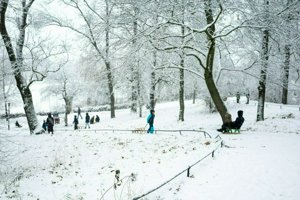 IMG_0277.jpg