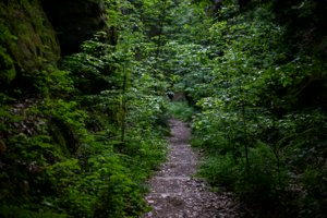 IMG_1362.jpg