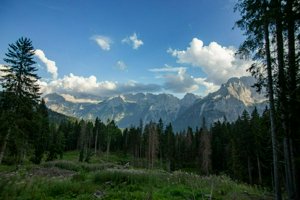 IMG_6413.jpg