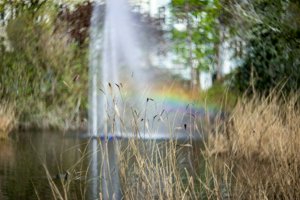 IMG_8323.jpg