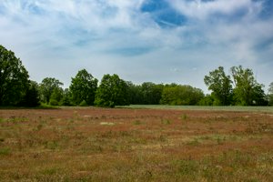 IMG_5930.jpg