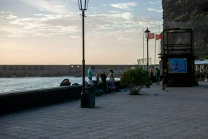 IMG_3685.jpg