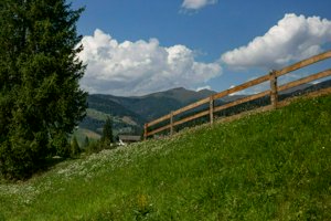 IMG_6187-Улучшено-NR.jpg