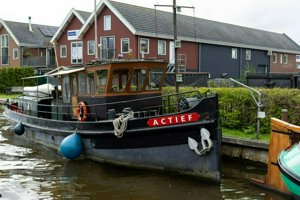 IMG_0554.jpg