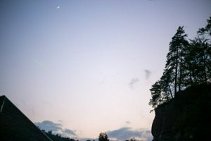 IMG_1378.jpg