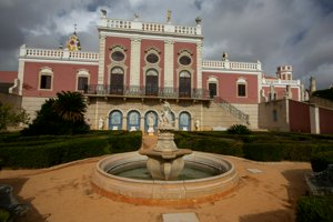 IMG_7772.jpg