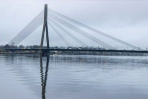 IMG_2247.jpg
