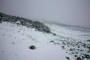 IMG_0167.jpg